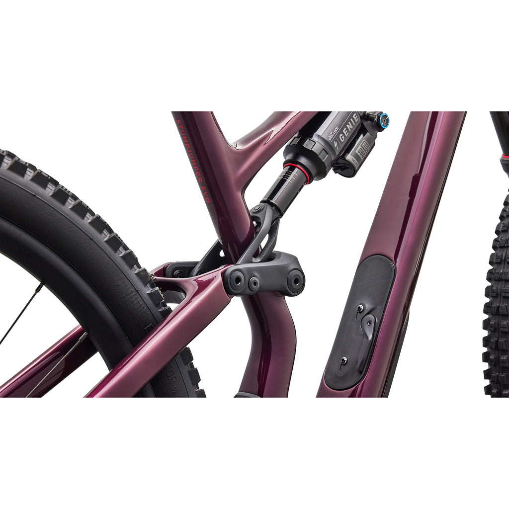 Stumpjumper 15 EVO Expert