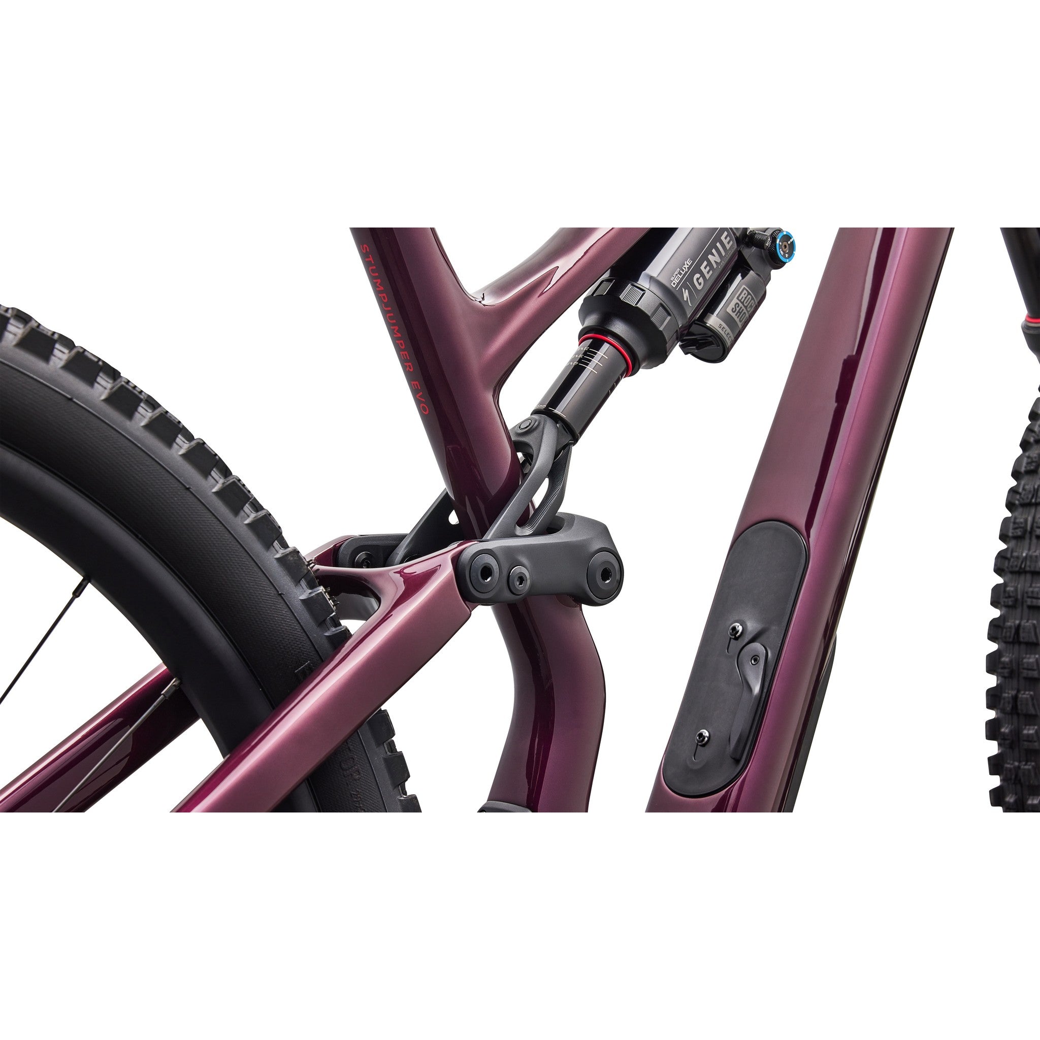 Stumpjumper 15 EVO Expert