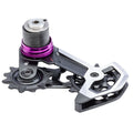 XX Downhill T-Type AXS Rear Derailleur Cage Assembly Kit