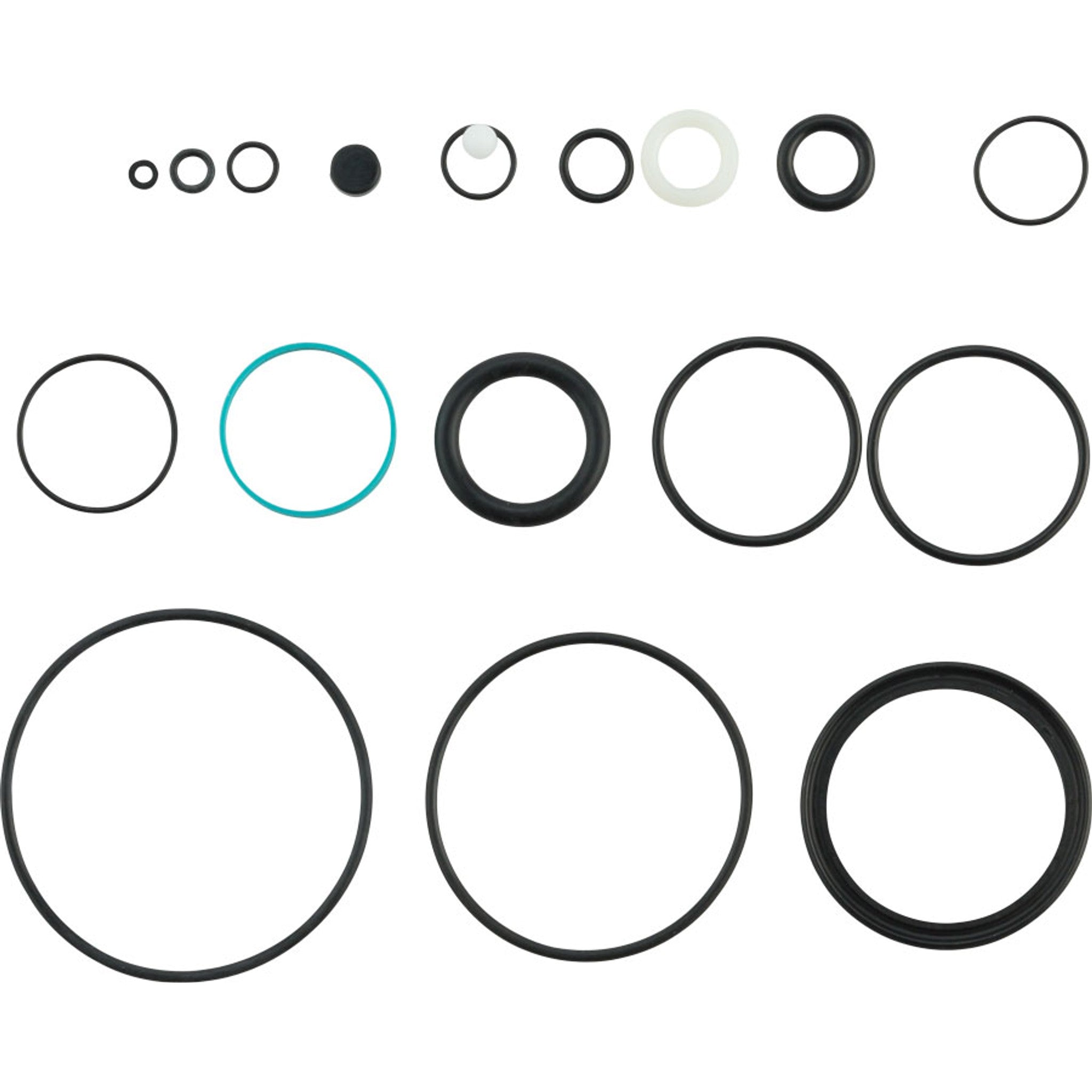 CTD/Dish Rebuild Kit