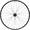 Proterra Light i25 Rear Wheel
